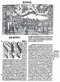 Melantrichovo druhé vydání Bible (Praha 1556–1557). Bible česká zv. Melantrichova (Praha, Jiří st. Melantrich z Aventinu 1556–1557). Fol. 436b s počátkem Knihy proroka Zachariáše. Antikvariát Meissner (Praha).