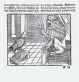 Bajka o lvu a krkavci v Konáčově Pravidle (Praha 1528). Johannes de Capua: Pravidlo lidského života jinak Podobenstvie starých mudrcuo (Praha, Mikuláš Konáč z Hodiškova 1528). Fol. E3a. Královská kanonie premonstrátů na Strahově – Strahovská knihovna (Praha), sign. DR I 20.